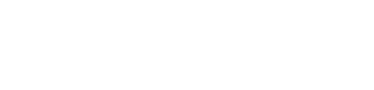 Shanghai Daily Logo